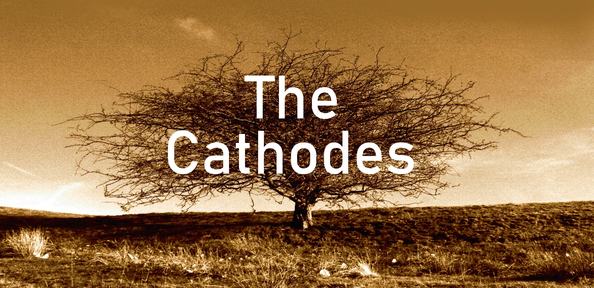The Cathodes
